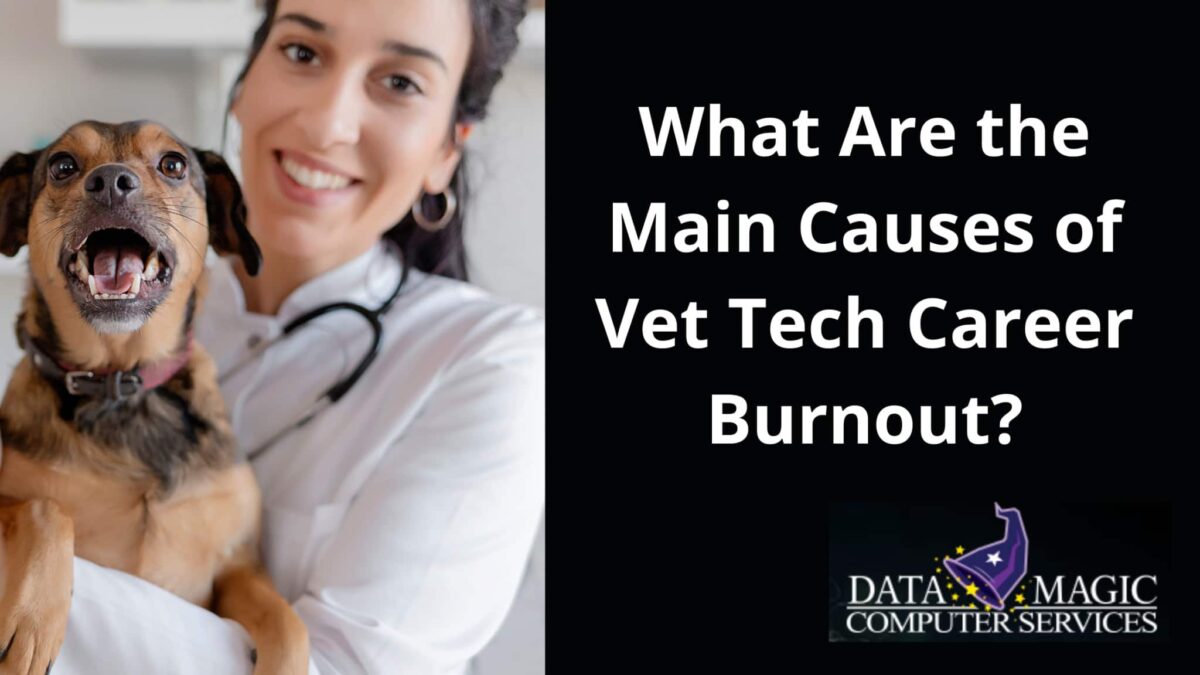 What Are the Main Causes of Vet Tech Career Burnout?